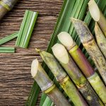 sugarcane, cane, crop